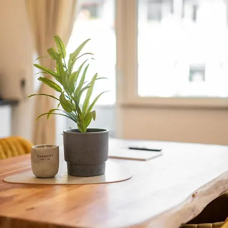 Steintorperle - 2 Im Herzen Vom Viertel * Brémy